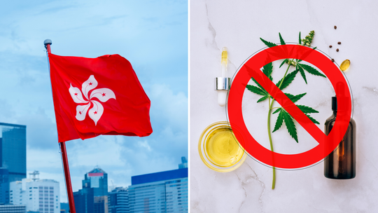 香港、2023年2月よりCBDを禁止へ