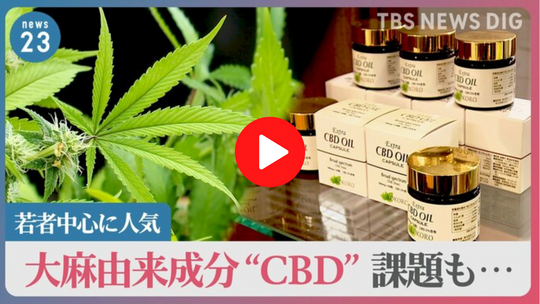 地上波TBSのnews23にてCBDの特集組まれる