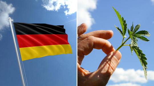 ドイツ、嗜好用大麻合法化プロジェクトを発表！