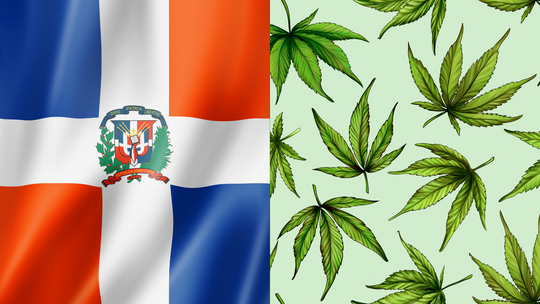 ドミニカ、2023年に大麻産業を立ち上げへ