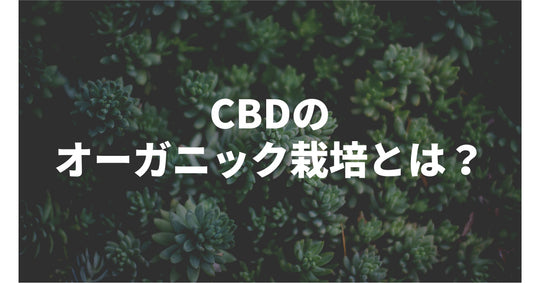 CBD原料のオーガニック栽培とは？
