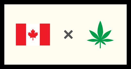 【インタビュー🎤】大麻起業家・焚麻さんに聞くカナダの大麻ビジネス事情🇨🇦