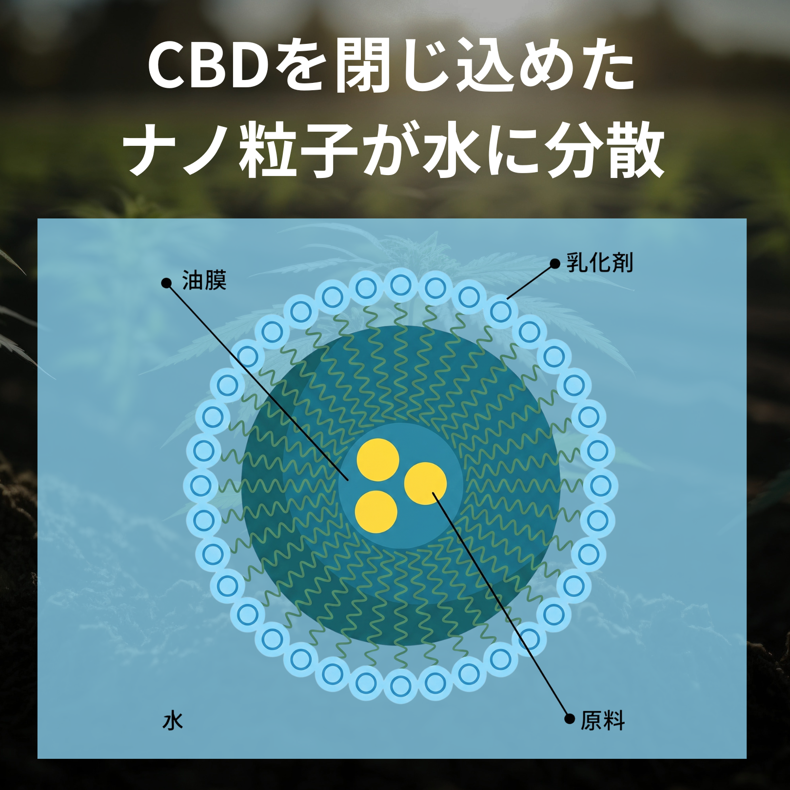 拡大する