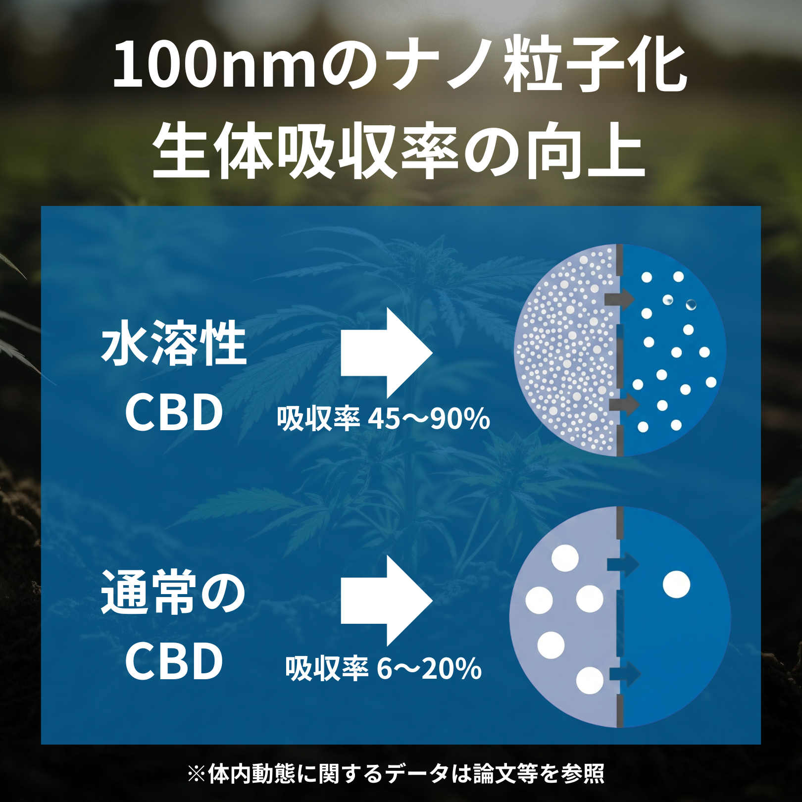 拡大する