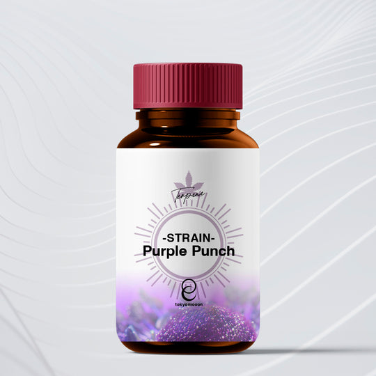 テルペン・ストレイン：Purple Punch