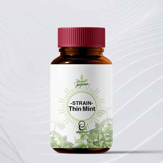 テルペン・ストレイン：Thin Mint